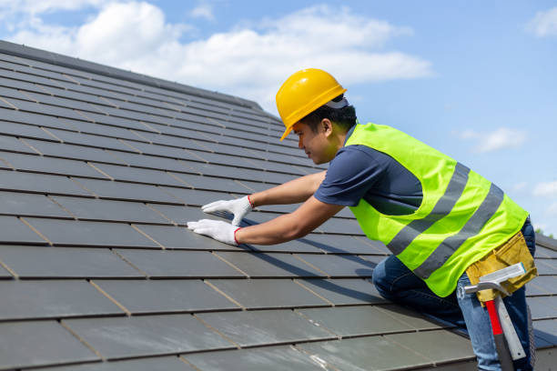 Best Roof Repair Services  in Hawi, HI