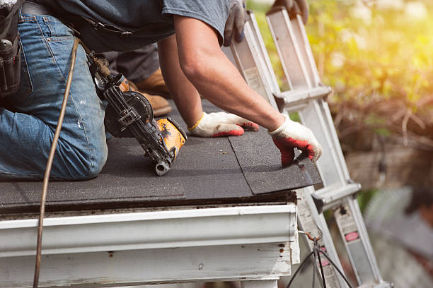 Best Roof Repair Services  in Hawi, HI