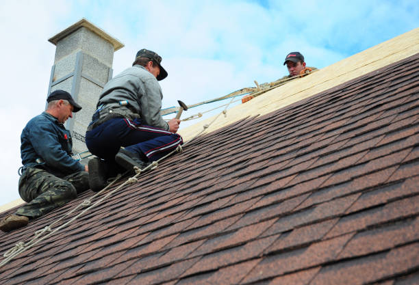 Quick and Trustworthy Emergency Roof Repair Services in Hawi, HI